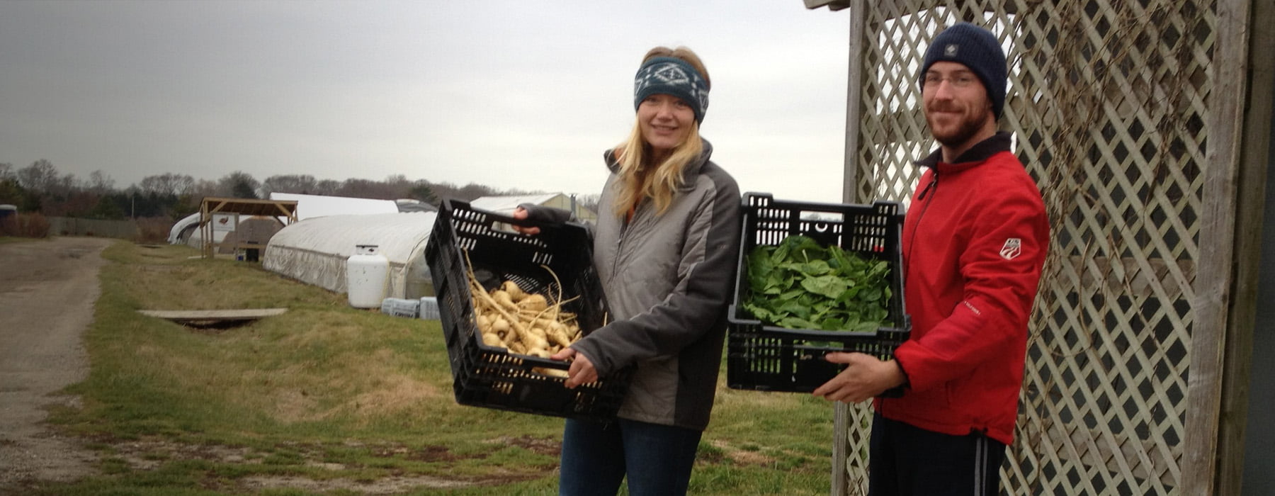 Food pantry Farm: Darcy and jack helping load fresh produce into